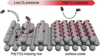 Graphical abstract: Time-resolved surface reaction kinetics in the pressure gap
