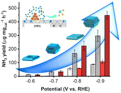 Graphical abstract: Tailoring metal–support interaction over faceted TiO2 and copper nanoparticles for electrocatalytic nitrate reduction to ammonia