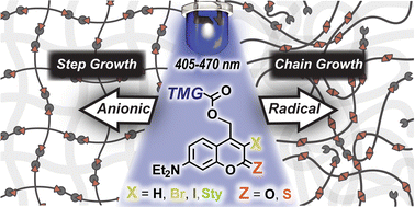 Graphical abstract: Visible light activated coumarin photocages: an interplay between radical and organobase generation to govern thiol–ene polymerizations