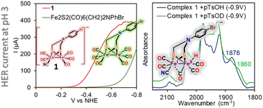 Graphical abstract: Facile electrocatalytic proton reduction by a [Fe–Fe]-hydrogenase bio-inspired synthetic model bearing a terminal CN− ligand