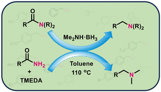 Graphical abstract: Unlocking an additive-free and catalyst-free dual approach for reduction of amides to amines