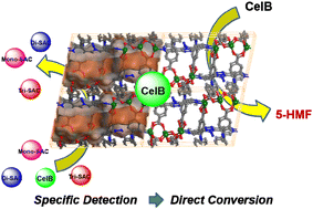 Graphical abstract: An amino and triazole-containing metal–organic framework: cellobiose sensing and its catalytic conversion under mild conditions