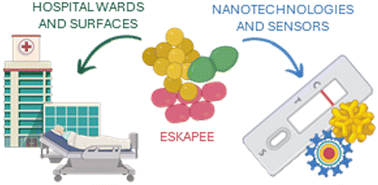 Graphical abstract: Advancements in nanosensors for detecting pathogens in healthcare environments