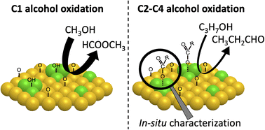 Graphical abstract: Selective oxidation of linear alcohols: the promotional effect of water and inhibiting effect of carboxylates over dilute PdAu catalysts