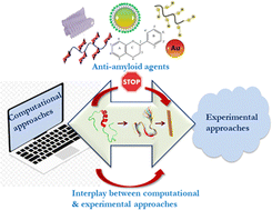 Graphical abstract: From experimental studies to computational approaches: recent trends in designing novel therapeutics for amyloidogenesis