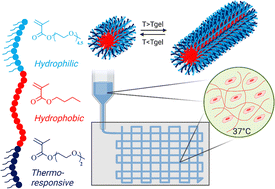 Graphical abstract: A thermoresponsive PEG-based methacrylate triblock terpolymer as a bioink for 3D bioprinting