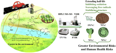 Graphical abstract: Enhanced residual risk of abamectin induced by 6PPD: in water, soil, and vegetables