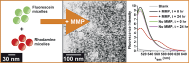 Graphical abstract: Fluorogenic enzyme-responsive micellar nanoparticles