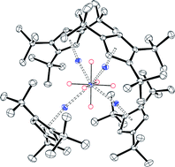 Graphical abstract: Reactivity studies on [Cp′MnX(thf)]2: manganese amide and polyhydride synthesis