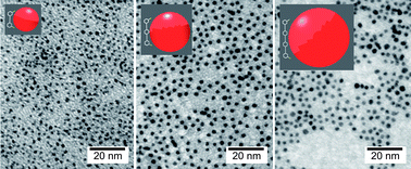 Graphical abstract: Rigid bidentate ligands focus the size of gold nanoparticles
