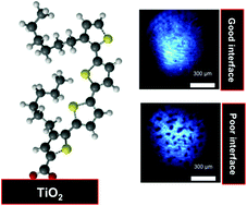 Graphical abstract: Oligomeric interface modifiers in hybrid polymer solar cell prototypes investigated by fluorescence voltage spectroscopy