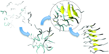 Graphical abstract: Prediction of a stable associated liquid of short amyloidogenic peptides