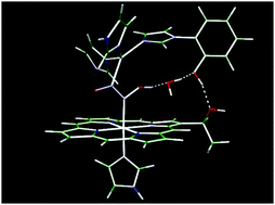 Graphical abstract: Nitric oxide activation by caa3 oxidoreductase from Thermus thermophilus