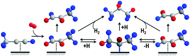 Graphical abstract: Parahydrogen enhanced NMR reveals correlations in selective hydrogenation of triple bonds over supported Pt catalyst