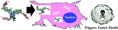Graphical abstract: Protecting microRNAs from RNase degradation with steric DNA nanostructures