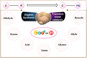Graphical abstract: Unified approaches in transition metal catalyzed C(sp3)–H functionalization: recent advances and mechanistic aspects