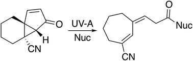 Graphical abstract: A vinylogous Norrish reaction as a strategy for light-mediated ring expansion