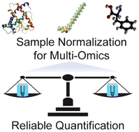 Graphical abstract: Evaluating sample normalization methods for MS-based multi-omics and the application to a neurodegenerative mouse model