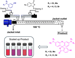 Graphical abstract: Continuous flow solvent-free and catalyst-free mechanochemical production of rhodamine B dyes and their derivatives