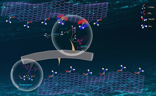 Graphical abstract: “Soft armor” regulates the electrocatalytic microenvironment for nitrate reduction to ammonia to greatly enhance stability