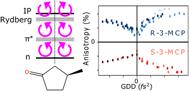Graphical abstract: Control of circular dichroism in ion yield of 3-methyl cyclopentanone with femtosecond laser pulses