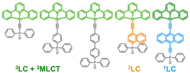 Graphical abstract: Cyclometalated Au(iii) complexes with alkynylphosphine oxide ligands: synthesis and photophysical properties