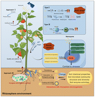 Graphical abstract: Nanozymes as a tool to boost agricultural production: from preparation to application