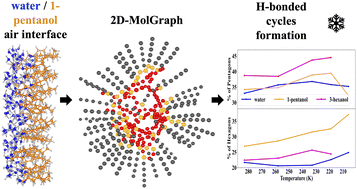 Graphical abstract: Unraveling aqueous alcohol freezing: new theoretical tools from graph theory to extract molecular processes in MD simulations
