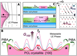 Graphical abstract: Interface-modulated morphological transition of biodegradable poly(ε-caprolactone) crystals