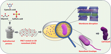 Graphical abstract: Propene-bridged cyanurate tetramers decorated on carbon nanosheets with antibacterial activity: insights from molecular modeling and in vitro studies