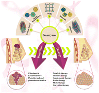 Graphical abstract: A comprehensive review on the recent applications of nanozymes in breast cancer therapy and diagnosis