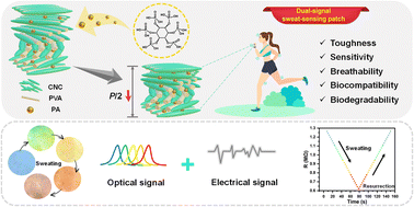 Graphical abstract: Synergistic color-changing and conductive photonic cellulose nanocrystal patches for sweat sensing with biodegradability and biocompatibility