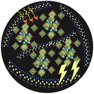 Graphical abstract: Light-regulated pyro-phototronic effects in a perovskite Cs2SnI6-reinforced ferroelectric polymer hybrid nanostructure