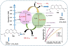 Graphical abstract: Synergic effect of a MoS2–V2O5 heterostructure as an advanced catalyst for photocatalytic degradation of methylene blue