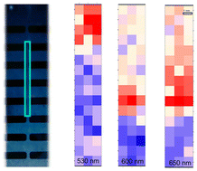 Graphical abstract: Film thickness dependence of nanoscale arrangement of a chiral electron donor in its blends with an achiral electron acceptor
