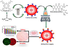 Graphical abstract: Doxorubicin-loaded pH-responsive porphyrin-derived carbon dots as a promising biocompatible drug delivery system for effective chemotherapy of breast cancer