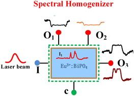 Graphical abstract: Prospects for photon–phonon dressing and crystal-field non-Hermitian alignment of Eu3+:BiPO4