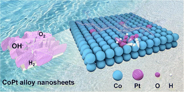 Graphical abstract: Ultralow platinum-doped self-supported CoPt alloy nanosheets for efficient overall water splitting