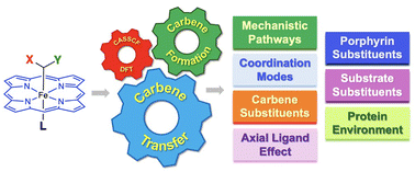Graphical abstract: Heme-based catalysis for sustainable carbene transfer chemistry: computational mechanistic investigations