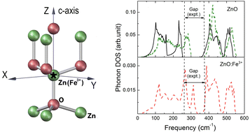 Graphical abstract: Optically active vibrations of extrinsic iron defects in zinc oxide