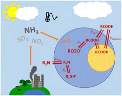 Graphical abstract: Assessing pH- and temperature-dependence in the aqueous phase partitioning of organic acids and bases in the atmosphere