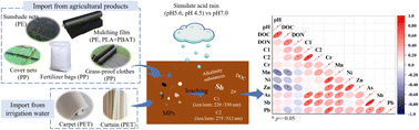 Graphical abstract: Microplastic leachates in farmland: impact of acid rain on DOM characteristics and metal release