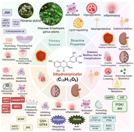 Graphical abstract: Dihydromyricetin in the management of diabetes and its complications: a narrative review
