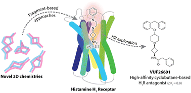 Graphical abstract: Leveraging fragment-based drug discovery to advance 3D scaffolds into potent ligands: application to the histamine H1 receptor