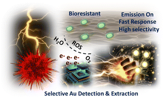 Graphical abstract: Enhanced photocatalytic gold recovery with concurrent near-IR fluorescence turn-on sensing: N,S-doped CDs in functionalized dendritic silica as a dual-mode platform