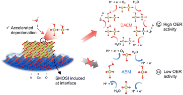 Graphical abstract: Cobalt oxide–supported iridium oxide nanoparticles with strong metal oxide–support interaction for efficient acidic oxygen evolution reaction