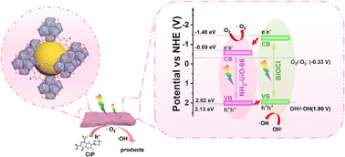 Graphical abstract: One-step construction of NH2-UiO-66 based heterojunction photocatalysts for adsorption–photocatalytic synergistic removal of antibiotics