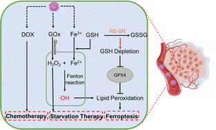 Graphical abstract: A pH/GSH dual-responsive Fe-based MOF drug carrier for ferroptosis-glycolysis synergistic therapy