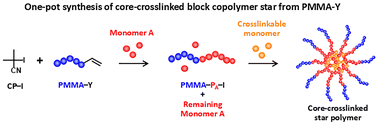 Graphical abstract: One-pot synthesis of core-crosslinked star polymers from poly(methyl methacrylate) with unsaturated chain ends and encapsulation of UV absorbing molecules