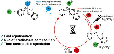 Graphical abstract: The dynamic chemistry of the boron–nitrogen bond